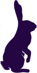 Jumping Rabbit